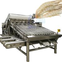 Machine de tri et de tri des homards Machine de tri des crevettes