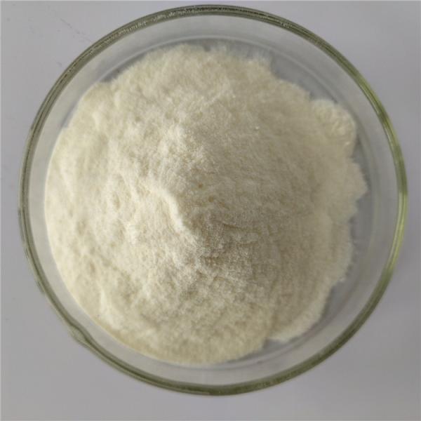 Food Grade cili juice powder/ Rosa Roxburghii For Instant Tea Powder