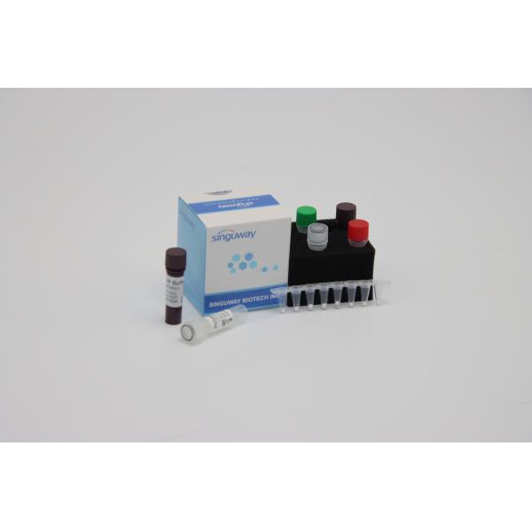 Molecular Diagnosis Quantitative PCR Detection Kit Reagent ISO13485 Within 30 Mins