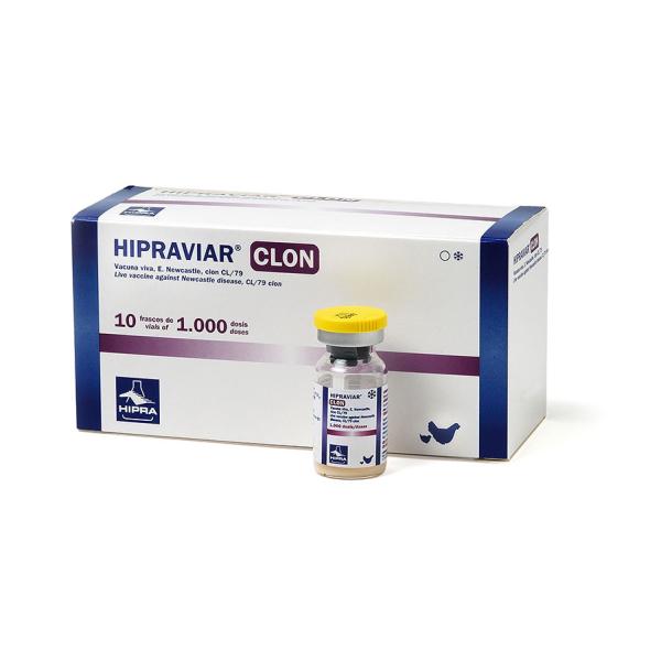 Ярлыки и коробки бутылки таблетки планшетов 100mg Amoxicillin устные подгоняли