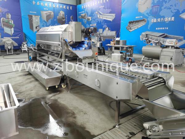 Máquina de Esfoliação de Pele de Batata de 2200 KG de Capacidade Ideal para Produção em Grande Escala