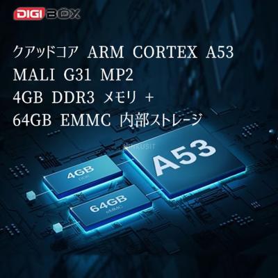 Digibox H.265 4K 60fps Resolution TVbox Android 12 Streaming Box Free Settings