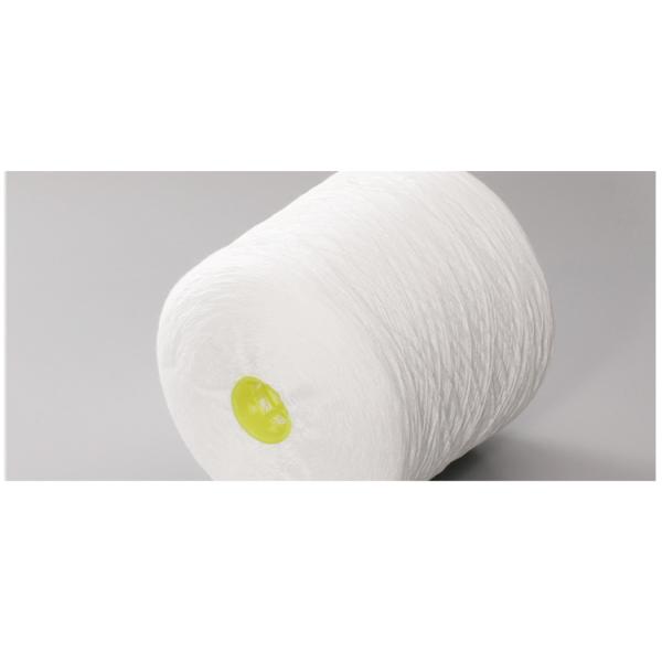 Hot 100 White Polyester Filament Yarn Weft Anti Bacterial Dty Strand Dacron