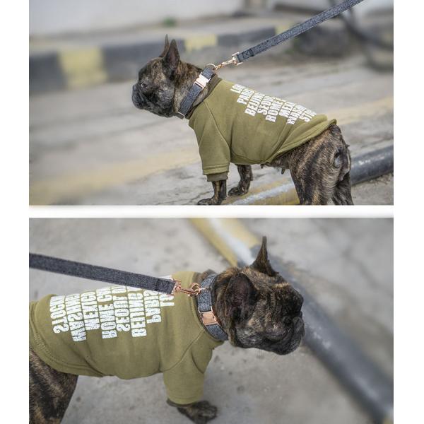 Collar de perros grandes de uso pesado de nylon super ancho de liberación rápida en stock y duradero