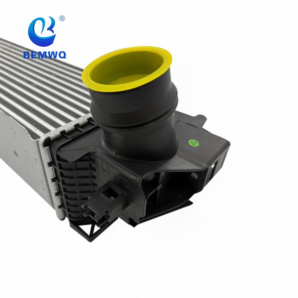 17517617598 BMW Engine Intercooler For B48 2-SERIES F45 1-SERIES F52 X1 F49