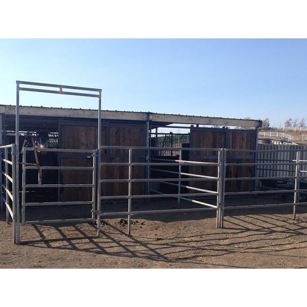 Horse and Sheep Yard Panels for Sale 1.8m x 2.1m 6 Horizontal Rails Oval tube 115x42mm