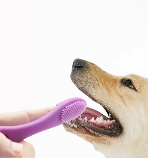 BPA Free Silicon Tooth Brushing Kit Set Teeth Cleaning Dog Finger Pet Toothbrush