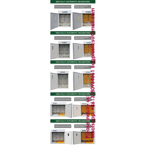 5000 Eggs Incubator Automatic Egg Fully Automatic Best Selling Poultry Egg Incubator Great Capacity Make Chicken Egg Incubator Hot Fully Intelligent Automatic Egg Hatching Machine Bird Chicken Goose
