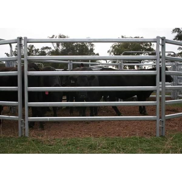 Горячие окунутые гальванизированные завязанные панели скотного двора для овец и коз