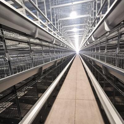 A galinha Q235 prende a espessura do equipamento de cultivo 3-6mm das aves domésticas