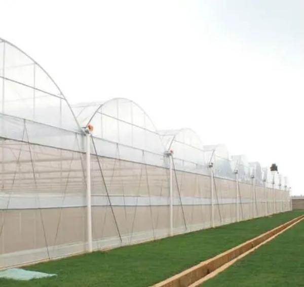 Seedling Cultivation Juxiang Hydroponic Farm Film Greenhouse with Customized Request