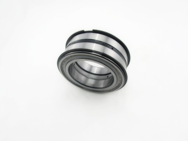 Needle Thrust Bearing Cylindrical Roller Bearing SL045010PP INA