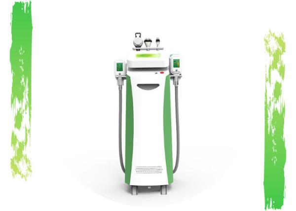 Wholsale Double Cryo Handle Working Same Time Cryolipolysis Machine Price
