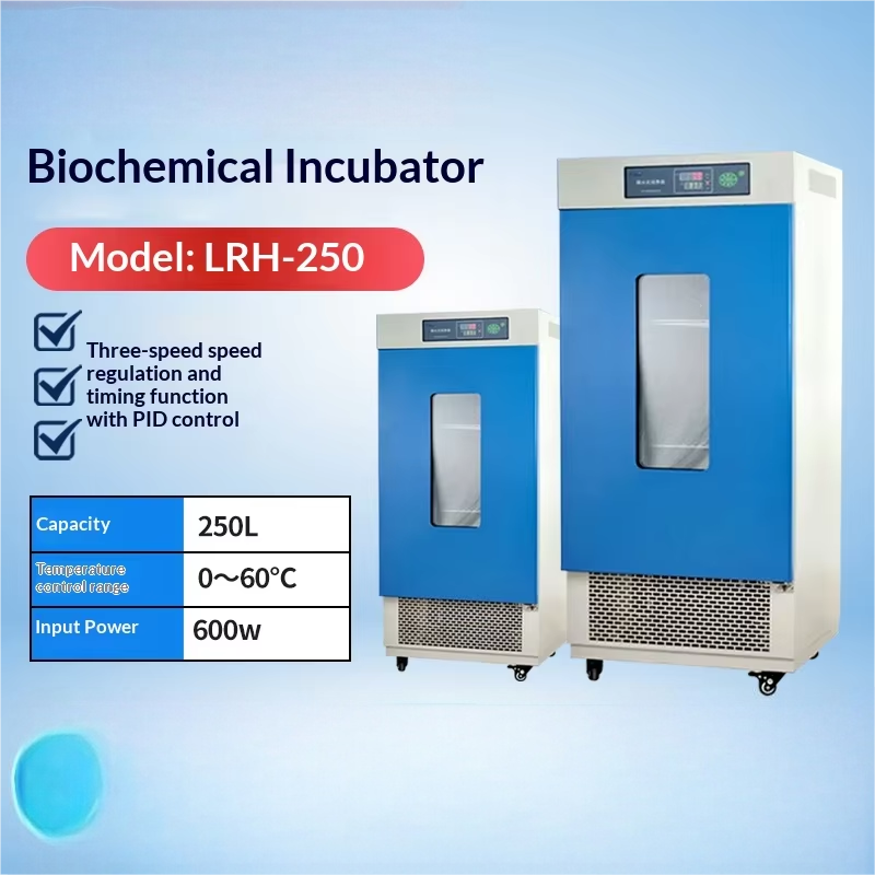 Biochemical Incubator LRH Series Bacterial Breeding No Fluctuation Constant Temperature Humidity Control No Power Laboratory