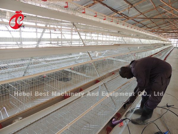 Коммерчески система 2.0m*2.0m*1.45m клетки батареи слоя цыпленка в звезде Нигерии