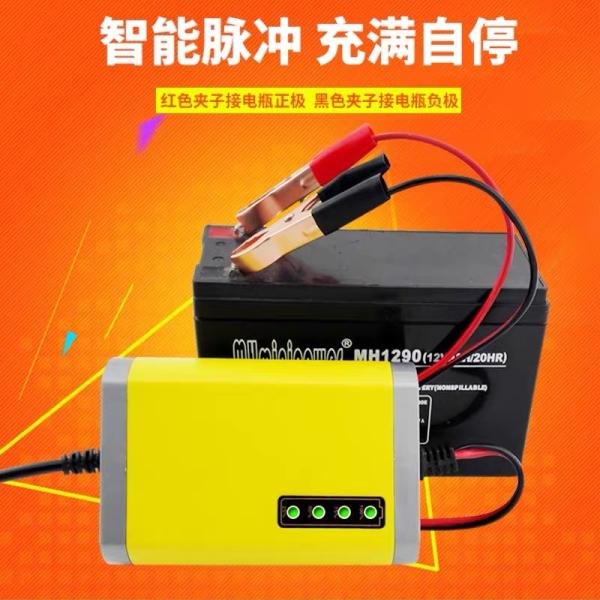 Microprocessor Control Travelscoot Battery Charger CE Input AC 180-220V 50Hz