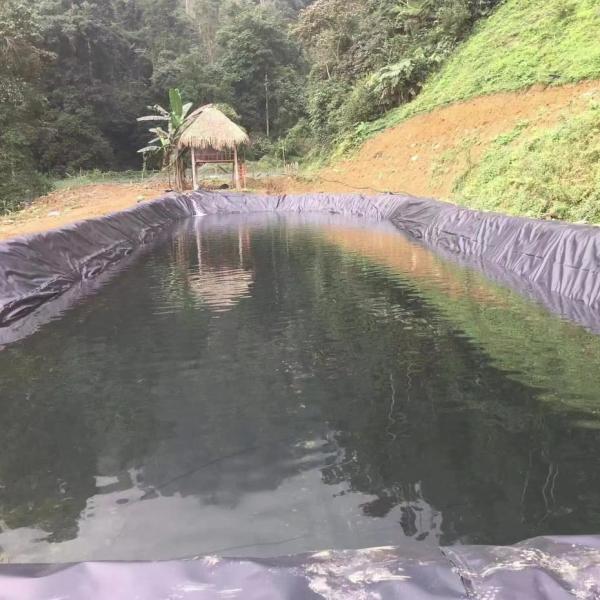 Geomembrana HDPE Tanque de Peixe Total Solução para Projetos em Preto Branco Verde Azul