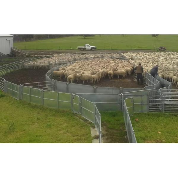 5ft Stronger Galvanized Livestock Fencing Sheep Goat Panels Gates 