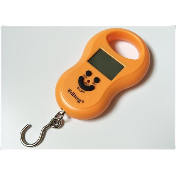 High Carbon Steel Hook Hand Luggage Scale , Durable Travel Weighing Scale