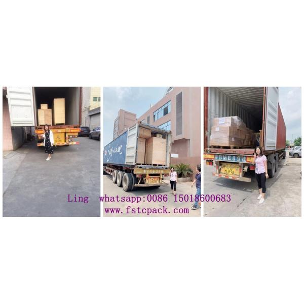 Automatic Screw Fastener Hardware Fittings Counting and Bagging Screw Packing Machine