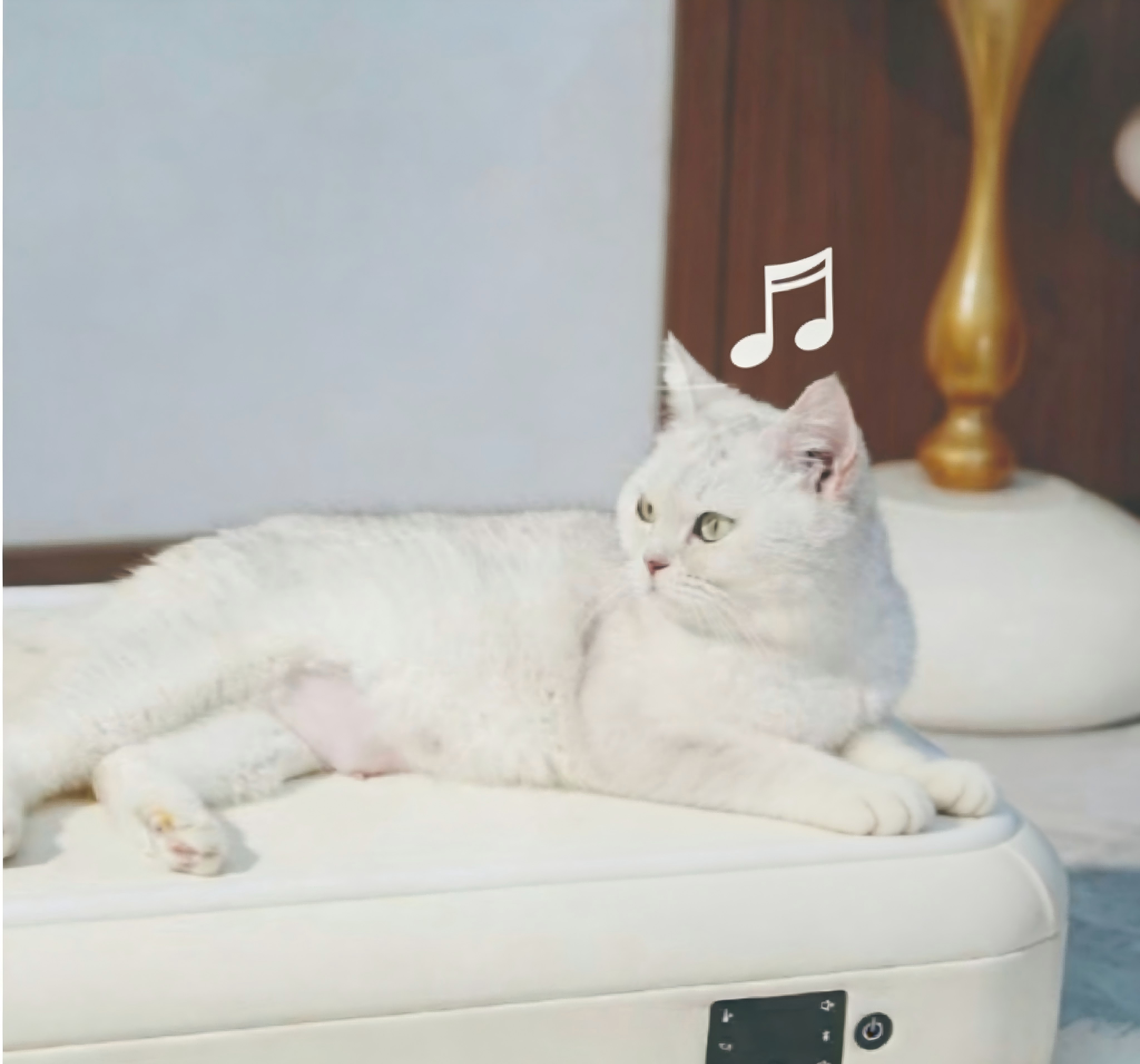 Easy to Clean Wool Pet Mat Smart Heating Massage LED Lights Soft Cushion Removable Washable for Cats