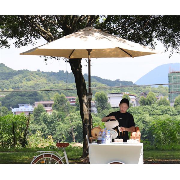3 Wheels Ice Cream Bike Tricycle Mobile Food Cart with Any Color Variation Selection