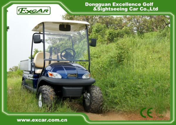 Carros Multi-funcionais da companhia de eletricidade para 2 o carregador do Regular da pessoa 17a
