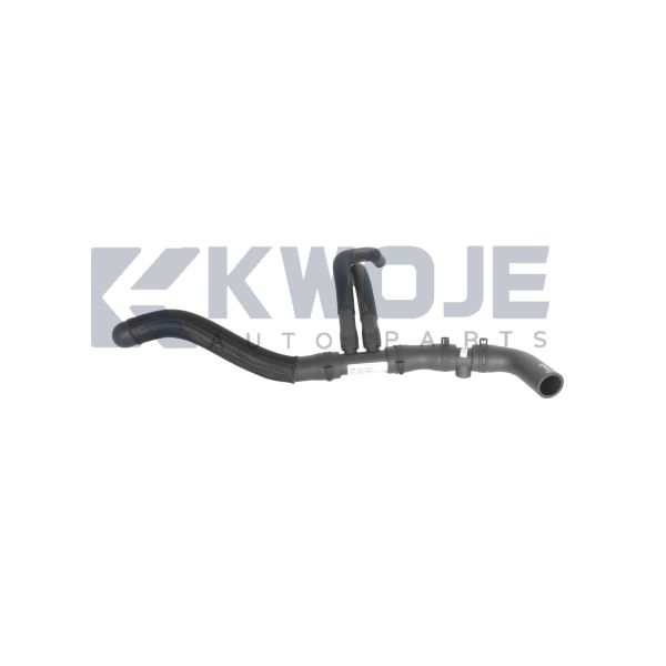 OEM F20-1303111 Auto Parts Water Inlet  Hose Engine For Chery Jetour X90 Plus