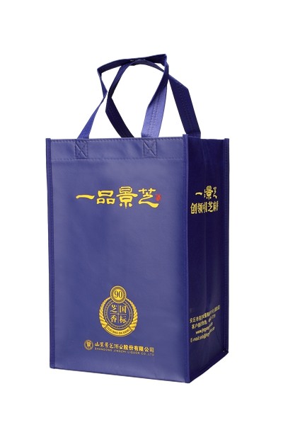 Sewing Non Woven Shopping Bag Folding Advertisement Bags