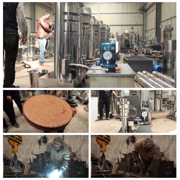 90kg/h German Hydraulic Prickly Pear Seed Oil Walnut Extraction Machine Press Hazelnut Olive Oil Machine 98%-100% Oil Output