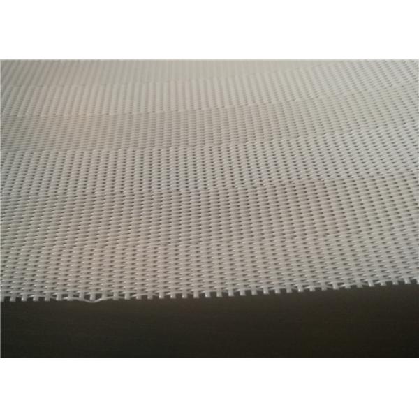 Кислотоупорная сетка полиэстера моноволокна для Dewatering прессы пояса