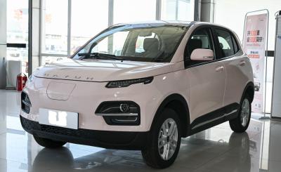2022 Dayun Automobile EV Yuehu 300 5 Portas 5 Lugares SUV Cltc 300Km