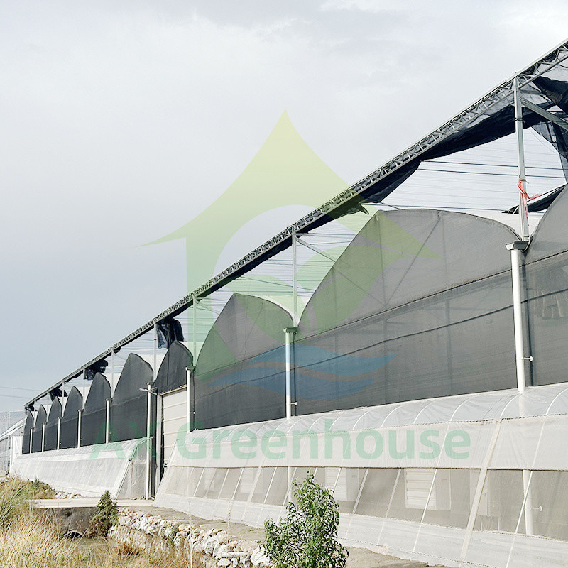 Пластиковая пленка PE Multi Span Tomato Poly Tunnel Теплица для фруктов и овощей с тенью
