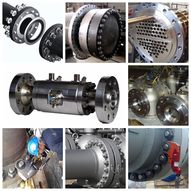 Фланец титана WN Gr2, сваривая поверхность фланца DN10-DN600 RF шеи