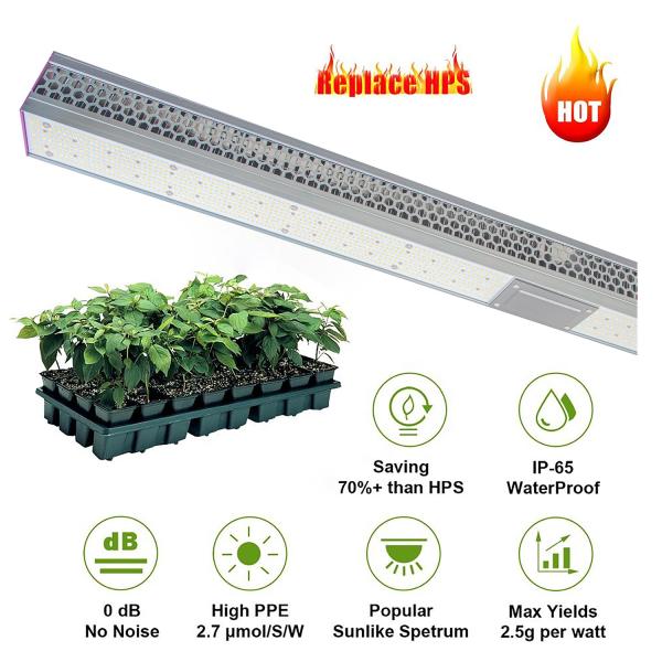 Efficient Commercial Greenhouse LED Grow Lights 60Hz Ip65 For Plants