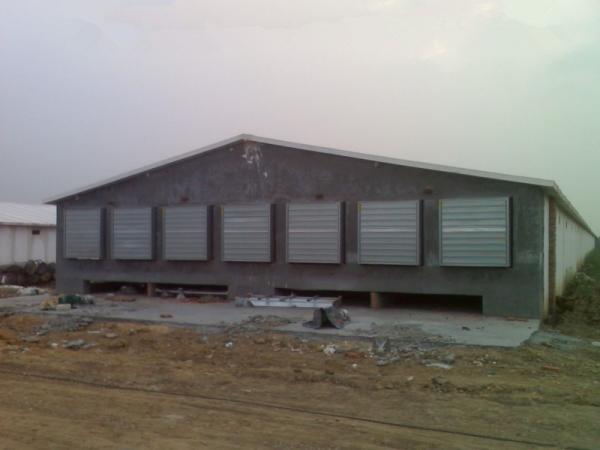New design low cost quick build steel structure warehouse storage warehouse building for sale