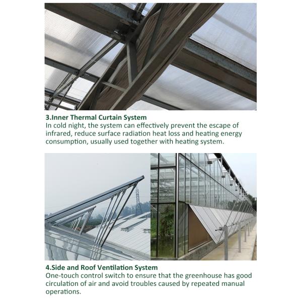 Multi-Span 4 Sunroom Теплица Venlo из закаленного стекла Полностью автоматизированная вентиляция