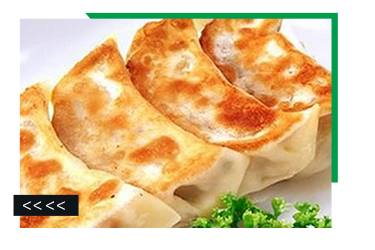 High Quality Source Manufacturer Delicious Quick Japanese Style Steamed Dumplings Fried Frozen Jiaozi Gyoza