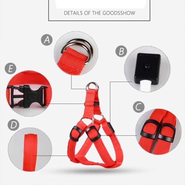 LED Night Dog Harness Vest Rechargeable USB Reflective Design Adjustable Leash Outdoor Walks