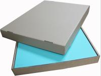 0.05mm 0.5m1.5mm Thickness Bare Magnesium Alloy Plate For Carving AZ31B H-24 AZ91D pURE mG 99.9%