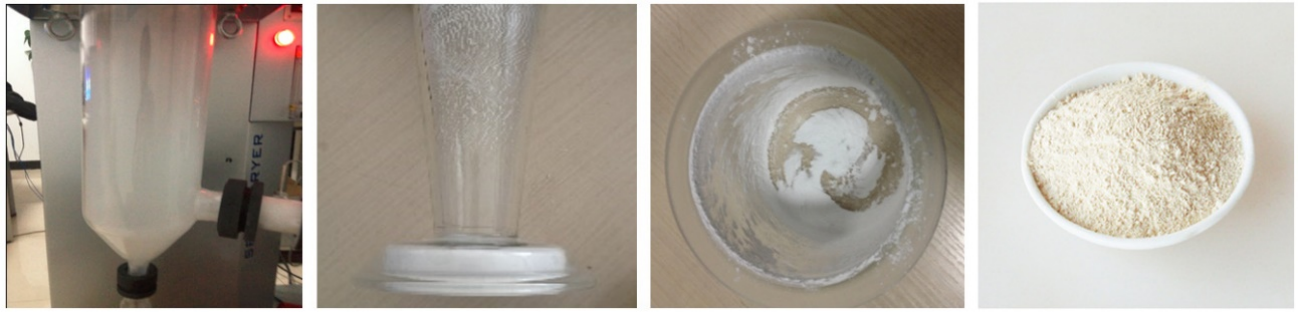 SPD-MINI Lab Spray Dryer For Protein Milk Coffee 2000ml/h