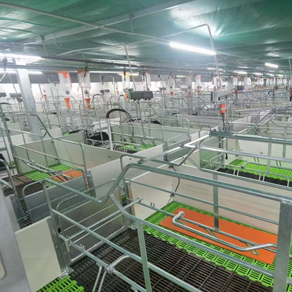 Дом свиньи стальной структуры OEM/ODM придает огнестойкость Prefab сельскохозяйственным строительствам