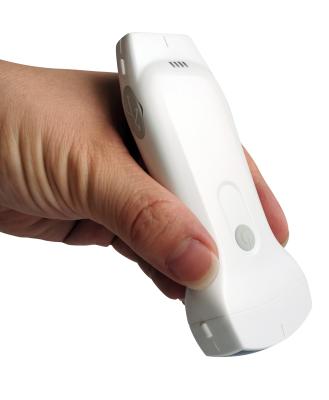 Linear/Convex/Phased Array 3 in 1 Handheld USB Ultrasound Double Probes Wireless Color Doppler Scanner