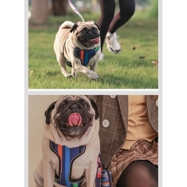 Arneses para perros reflectores con correa S-XL Arneses para gatos y set de correa