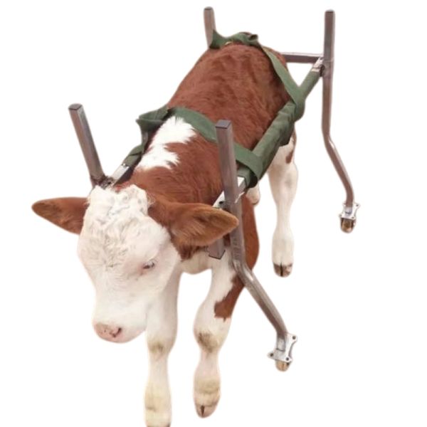 Calf Walker