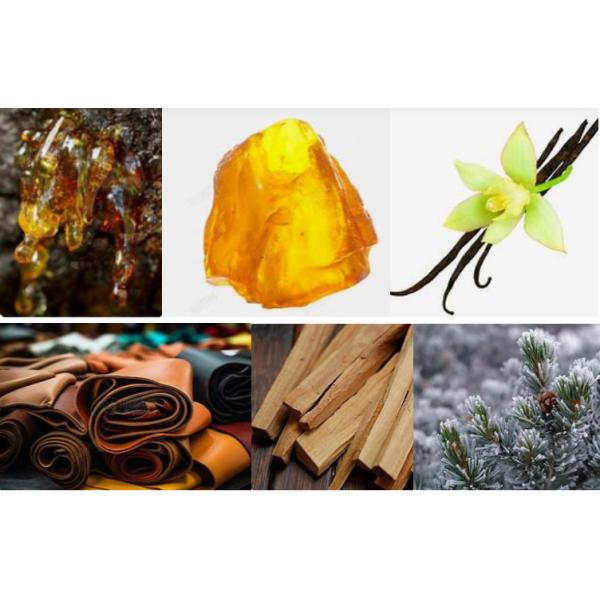 Free Sample Pure Intense Amber Essencee For Perfume Making 