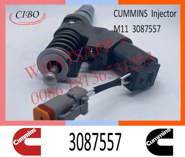 Com-minutos do injetor de combustível no injetor comum conservado em estoque 3087557 do trilho de M11I SM11 QSM11 4307516 4061851 4307517