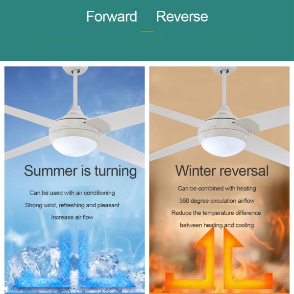 Remote Control Ceiling Fan Light Nordic Modern Dinning Room Bedroom Living Room Restaurant Solid Wood LED Fan Lamp(WH-CL