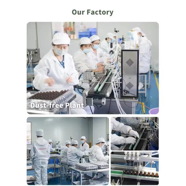 100ml Eau de Toilette Arabe Marque Privée Frais Fruité Élégant Vaporisateur Parfum Floral Parfum Arabe Naturel Longue Durée