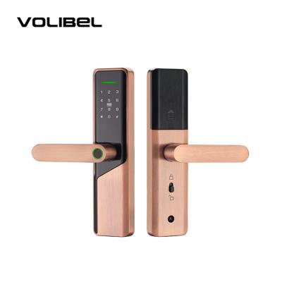 Wifi Remote Tuya Smart Door Lock